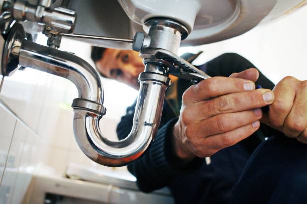 Best Local Plumber Services  in Morrisonvle, IL