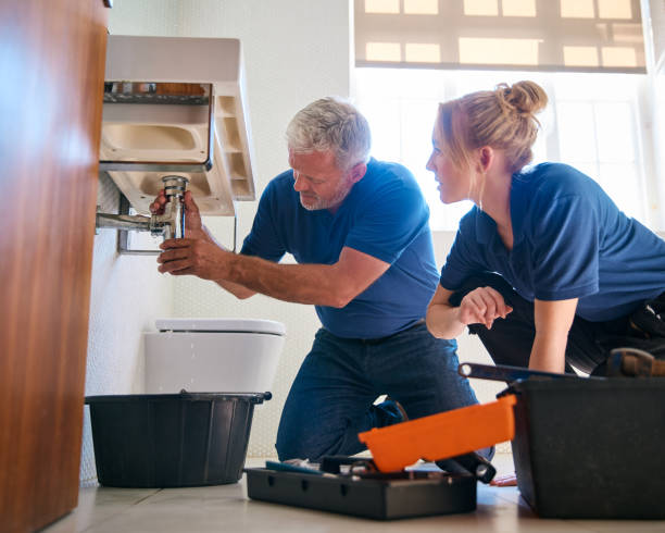 Best Residential Plumbing Services  in Morrisonvle, IL